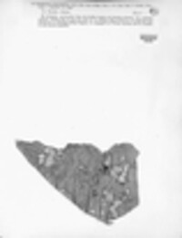 Botrytis tulipae image